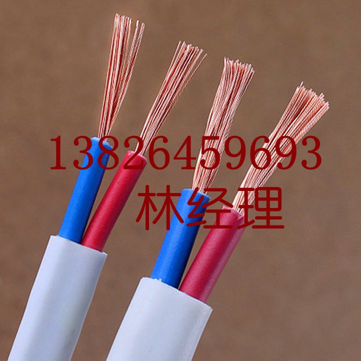 廣東珠江力纜電線